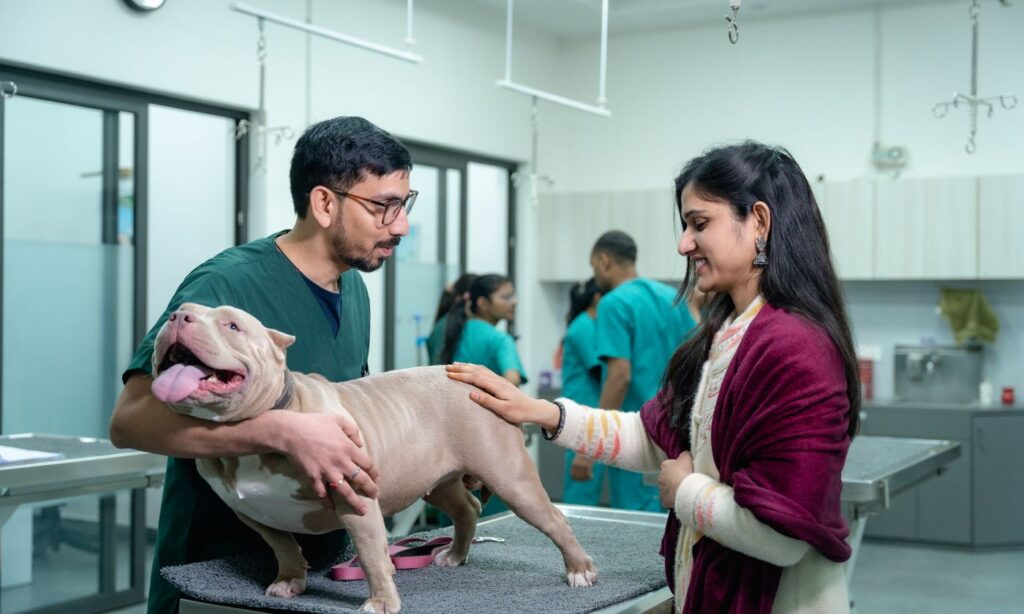 A practitioner and client with a dog at the exam table in a large veterinary hospital, with staff working behind them